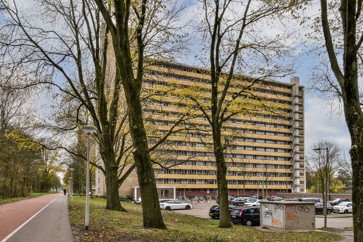 Foto 2 van Langswater 197