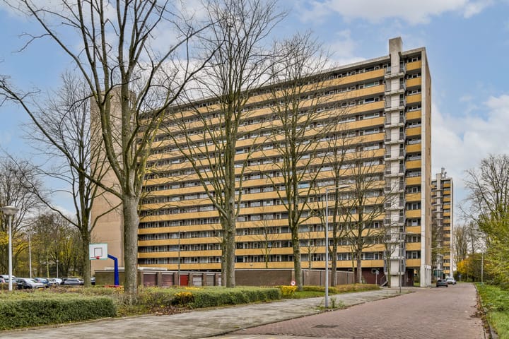 Foto 4 van Langswater 197