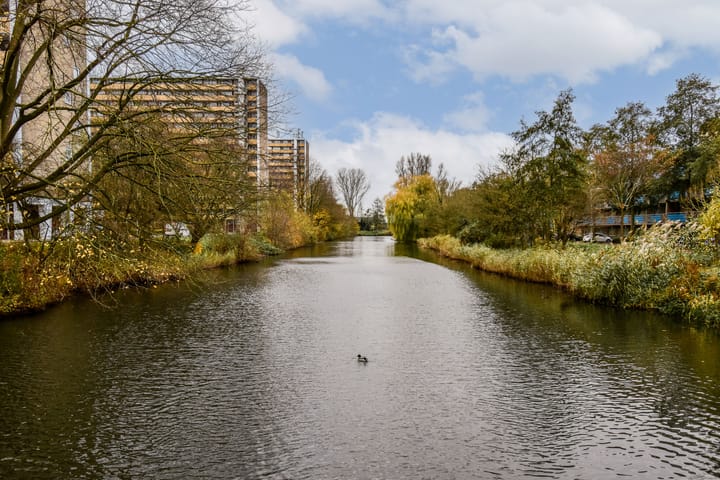 Foto 19 van Langswater 197