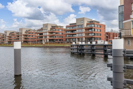 Koningsveld thumbnail