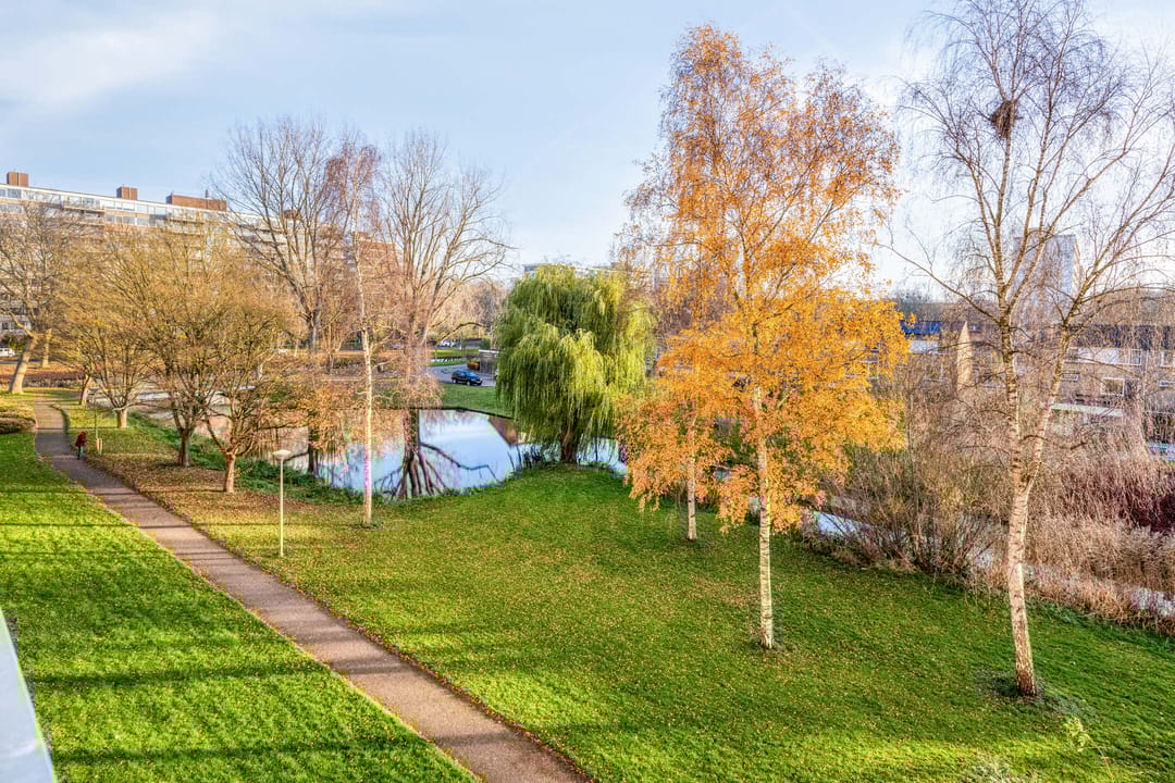 Foto 7 van Argostraat 256