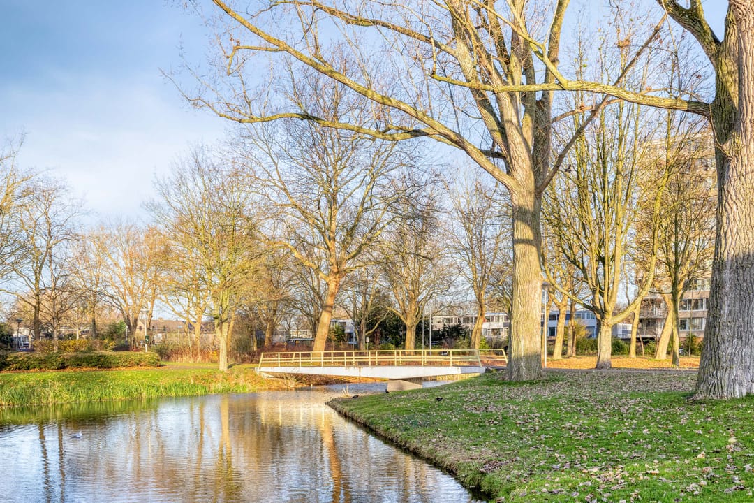 Foto 23 van Argostraat 256