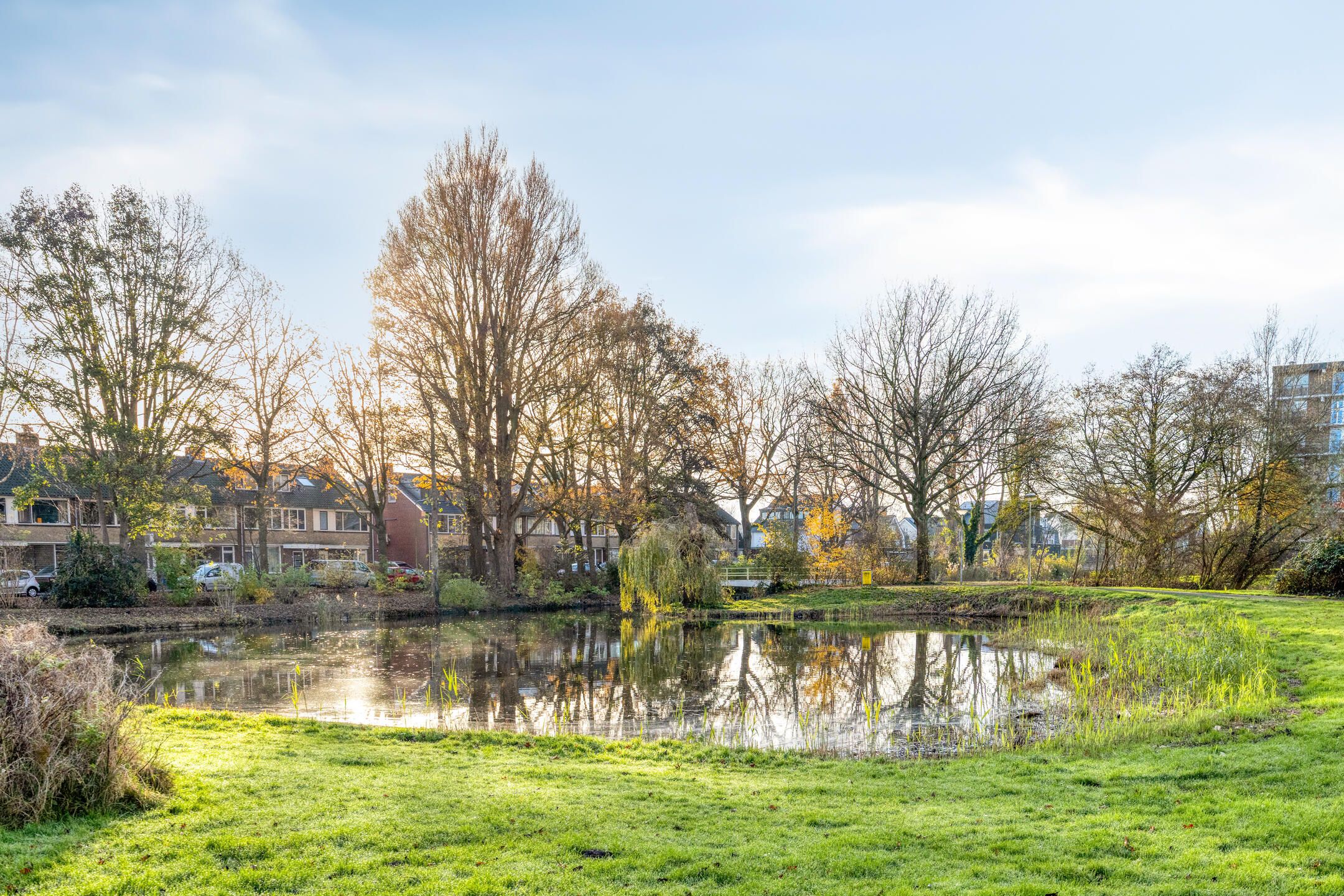 Foto 24 van Argostraat 256