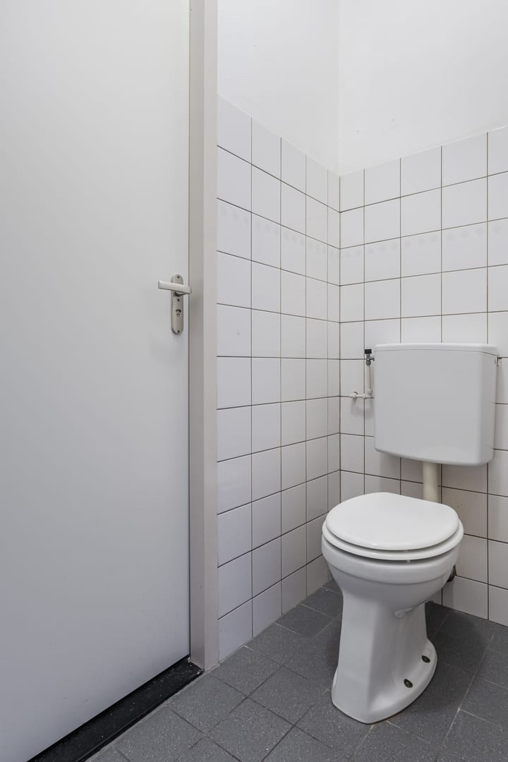 Photo 21 of Tolhuis 6741