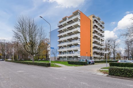 undefined main image