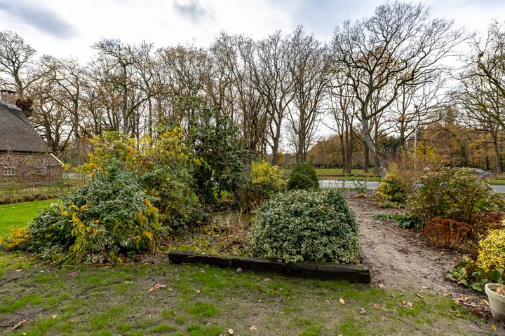 Foto 30 van Asserstraat 87