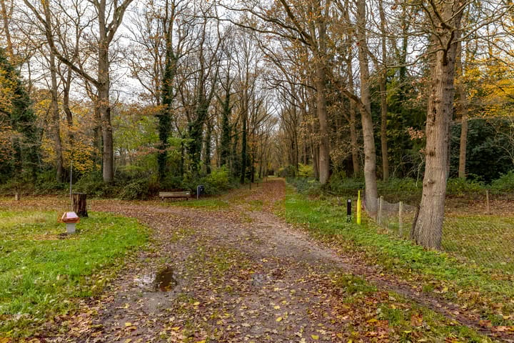 Foto 36 van Asserstraat 87