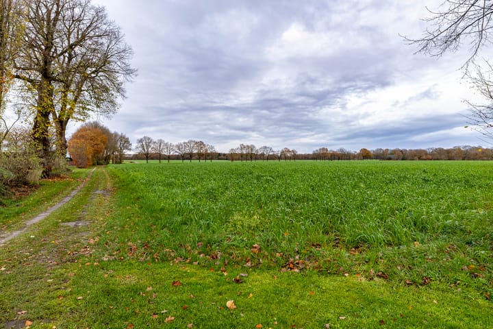 Foto 37 van Asserstraat 87