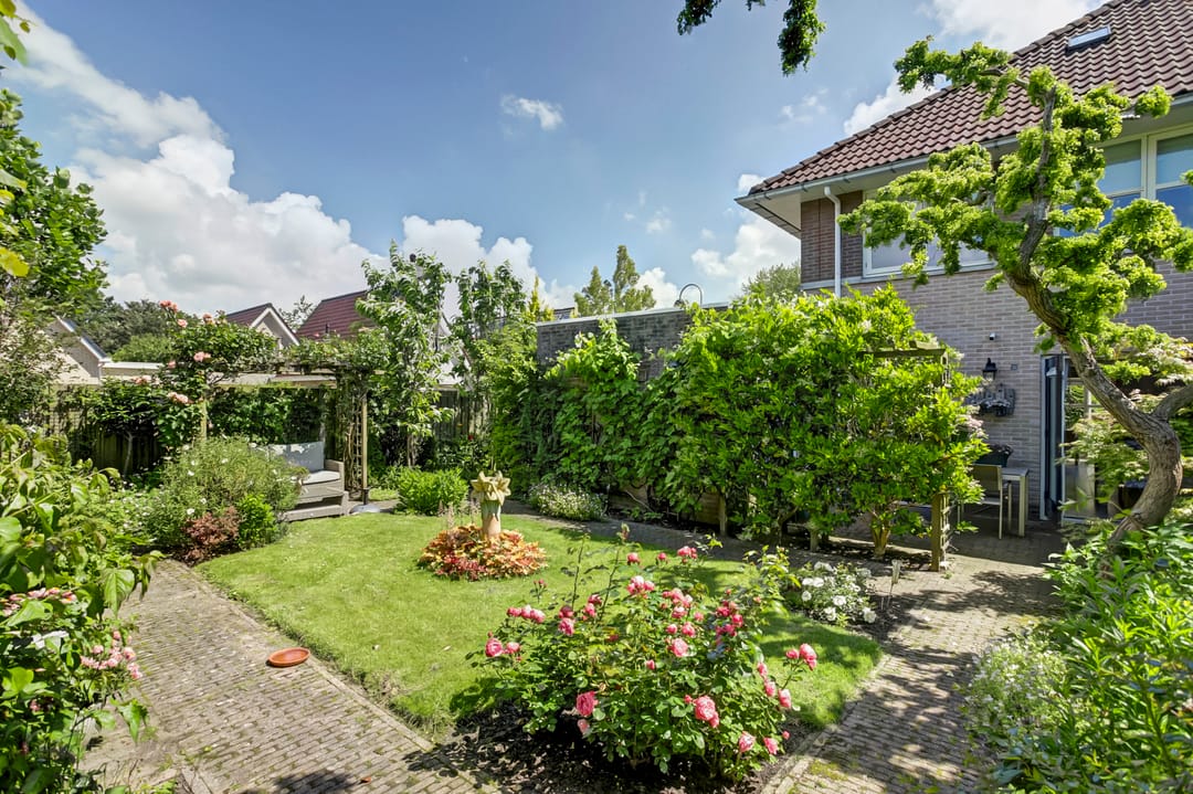 Foto 2 van Bomenland 2