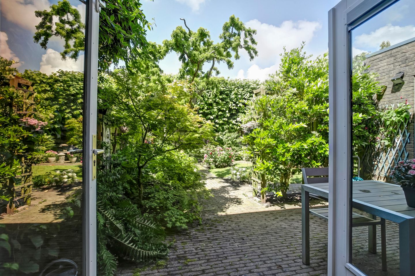 Foto 14 van Bomenland 2