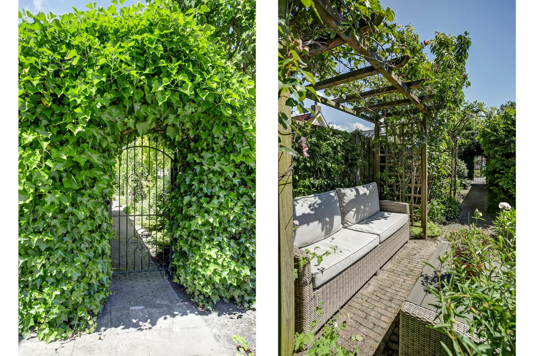 Foto 26 van Bomenland 2