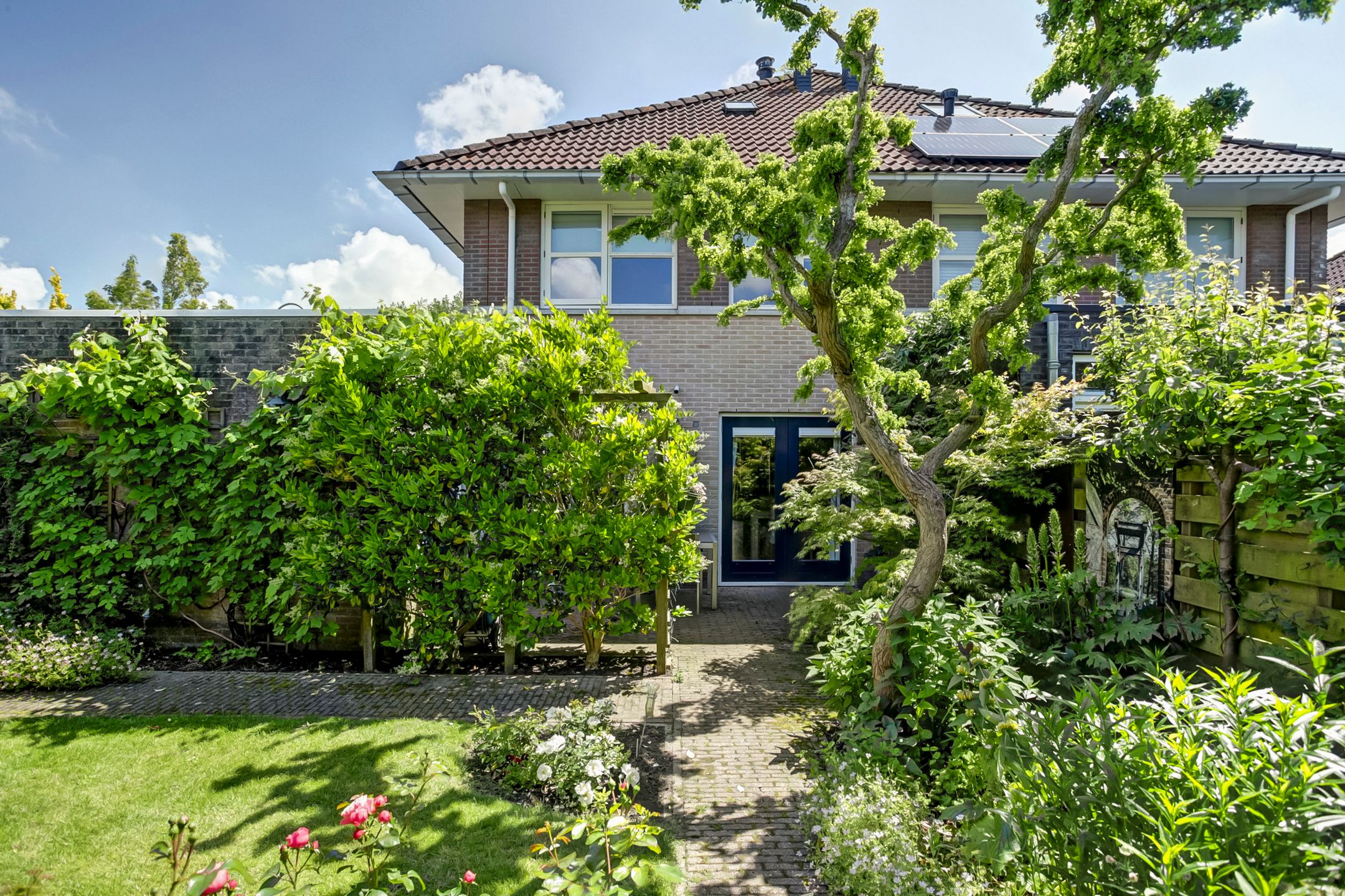 Foto 27 van Bomenland 2