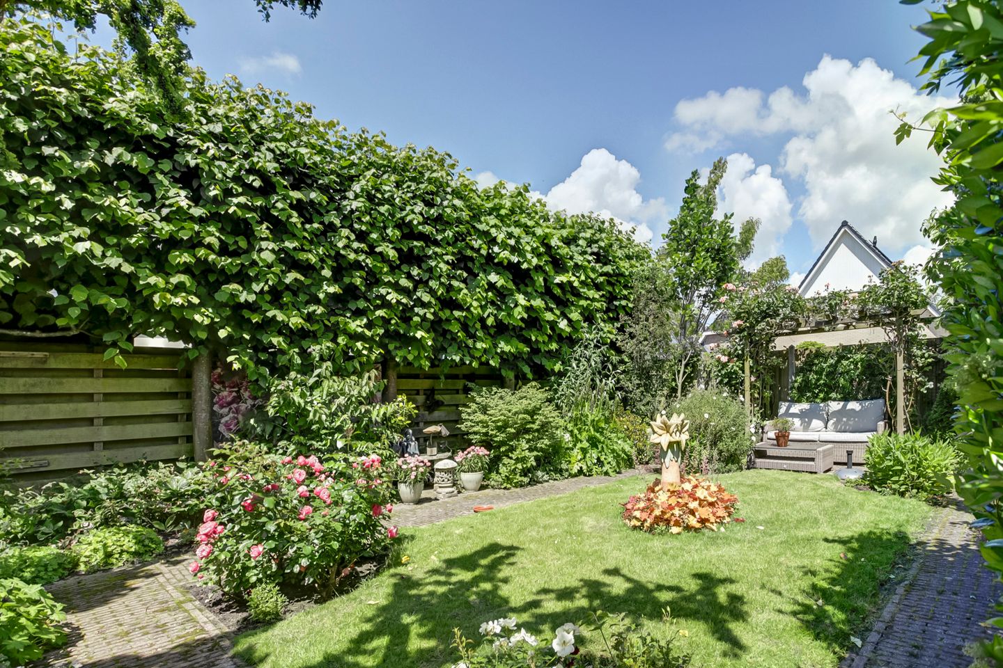 Foto 29 van Bomenland 2