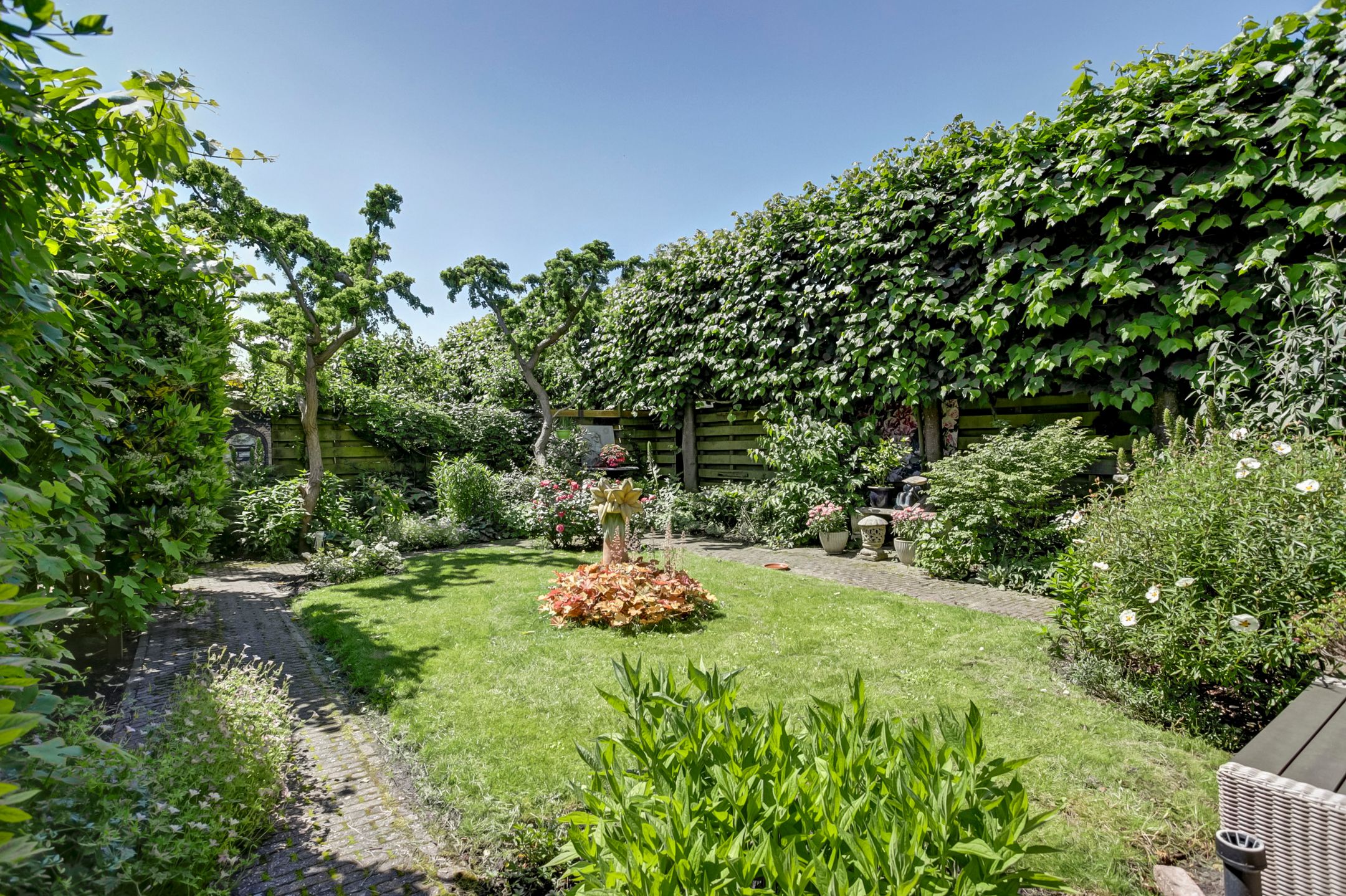 Foto 30 van Bomenland 2