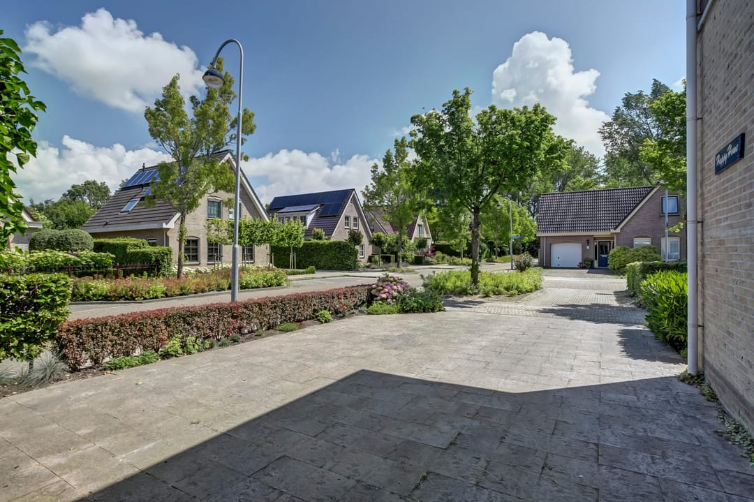 Foto 32 van Bomenland 2