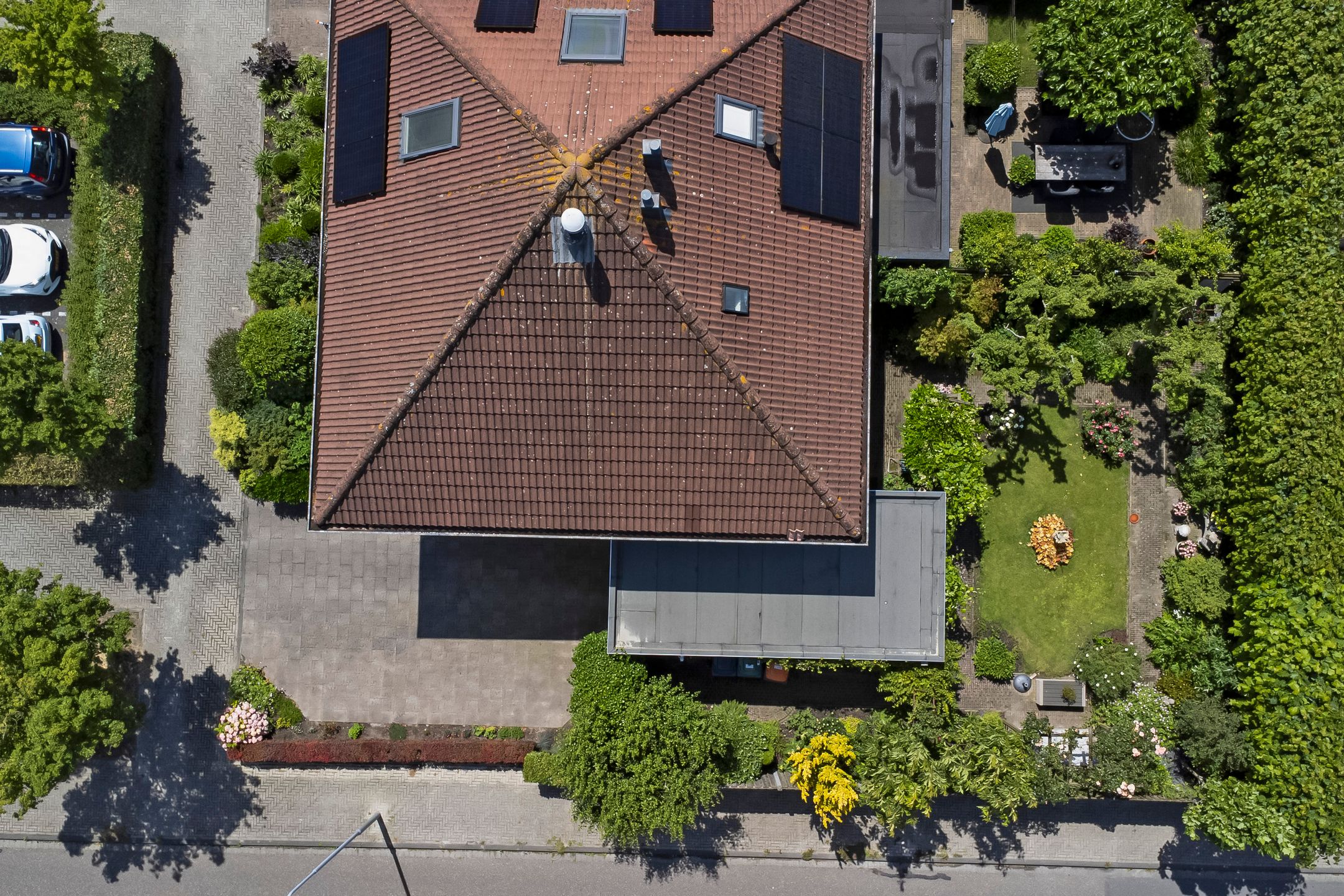 Foto 33 van Bomenland 2