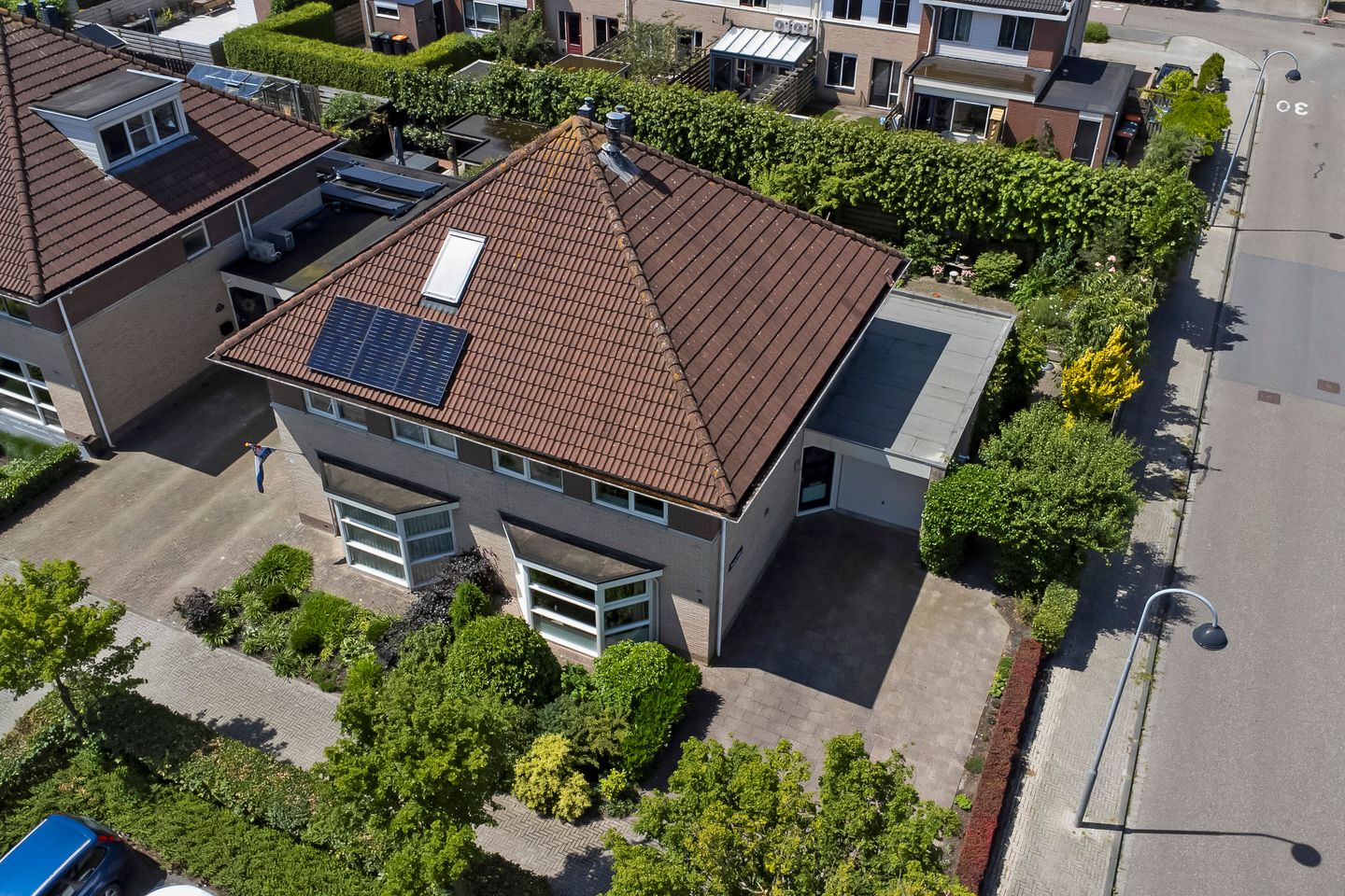 Foto 34 van Bomenland 2