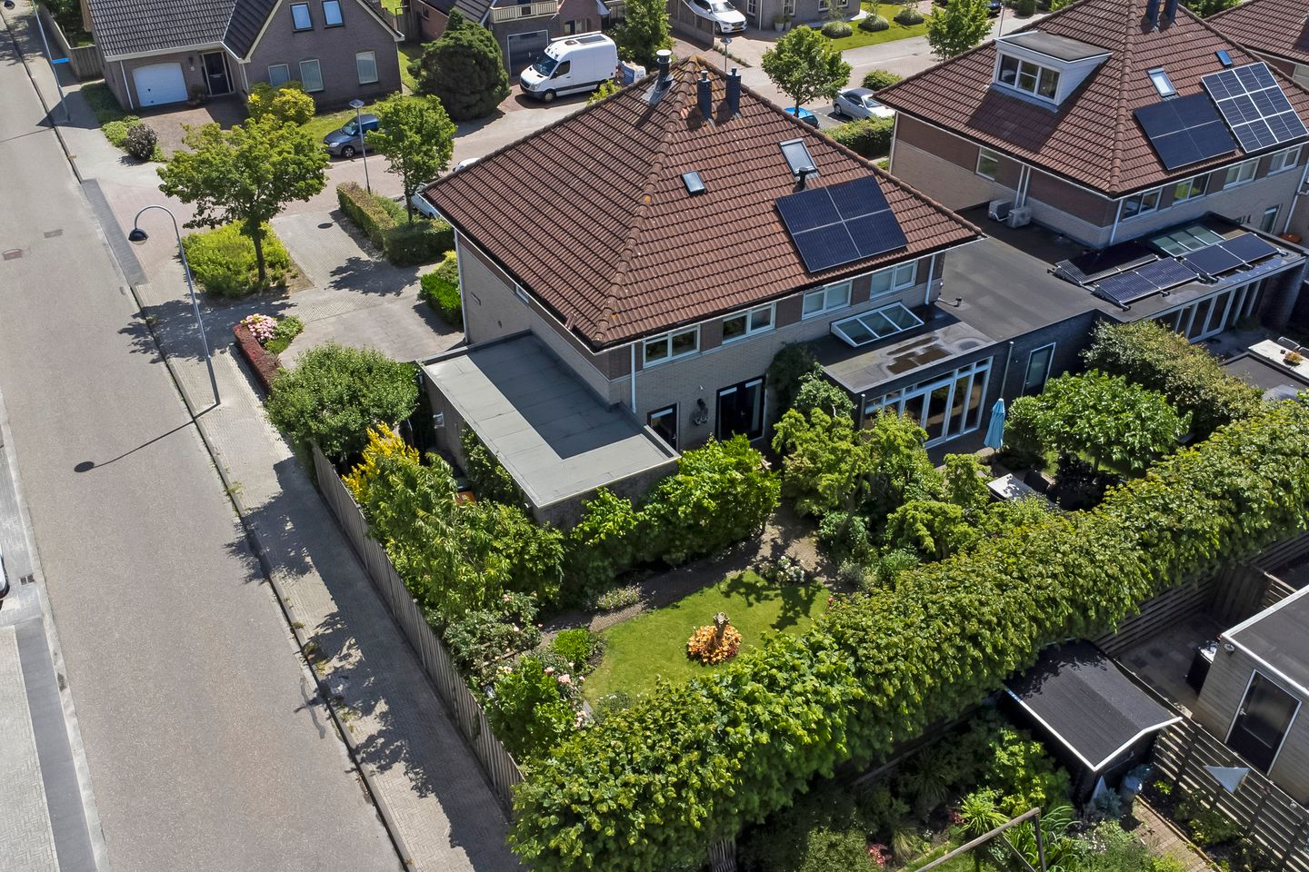 Foto 35 van Bomenland 2