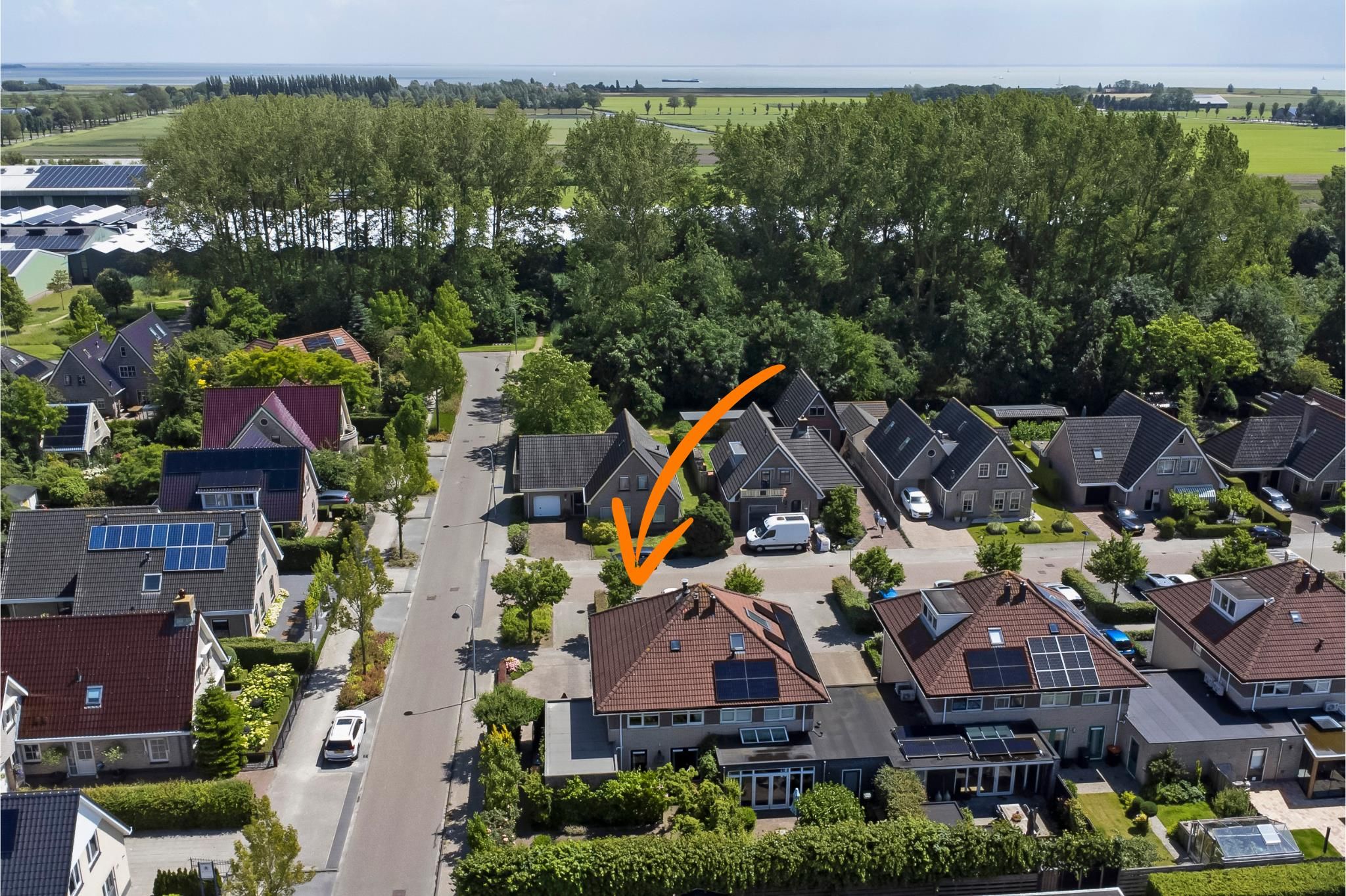 Foto 36 van Bomenland 2