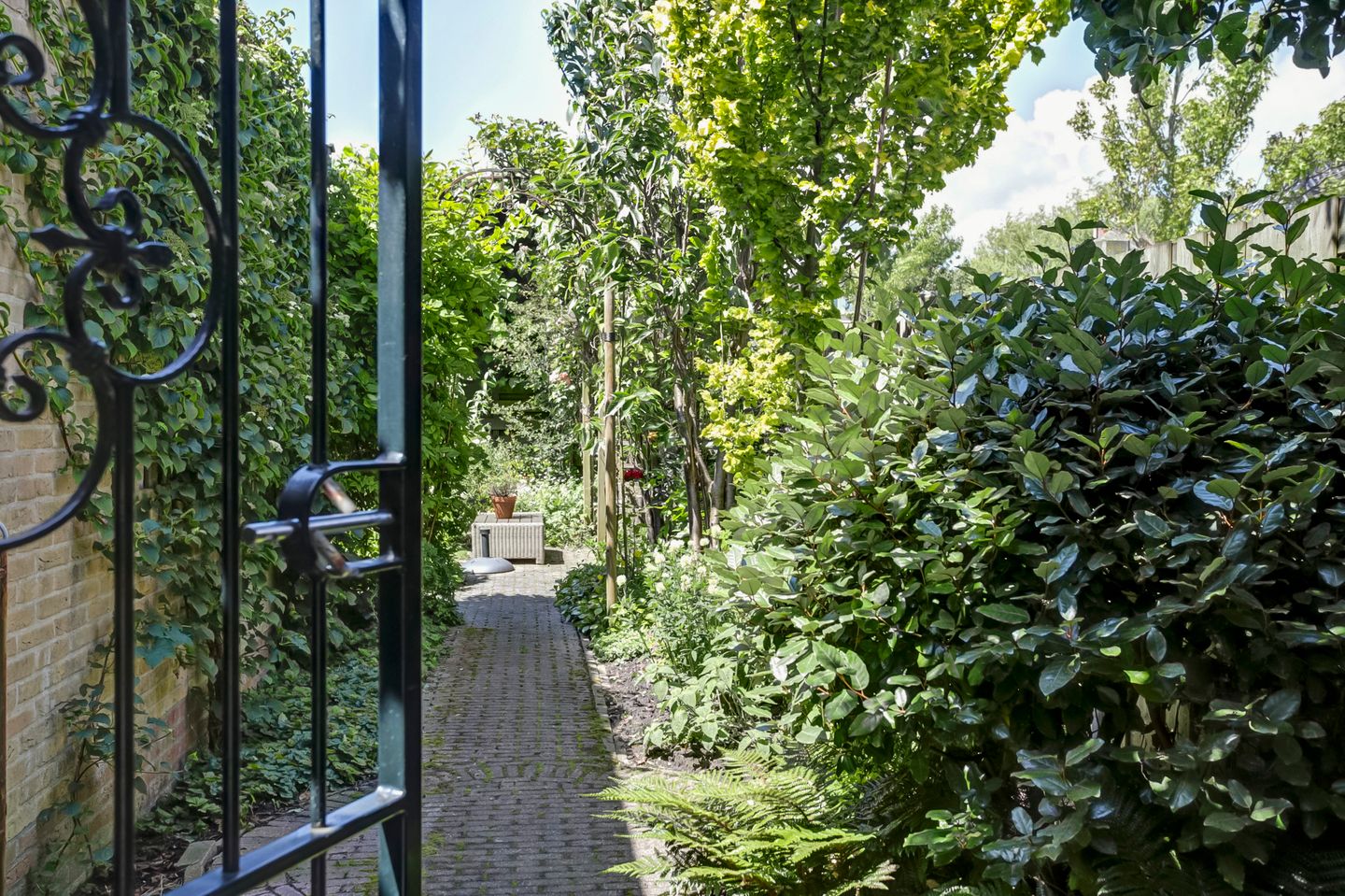 Foto 25 van Bomenland 2