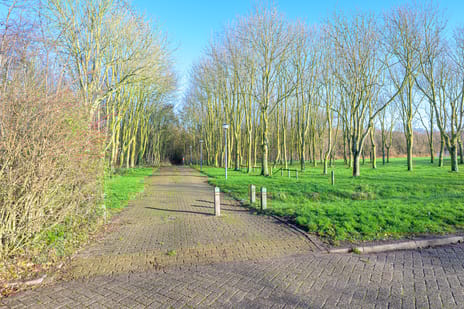 Frankendaalstraat 8 tertiary image