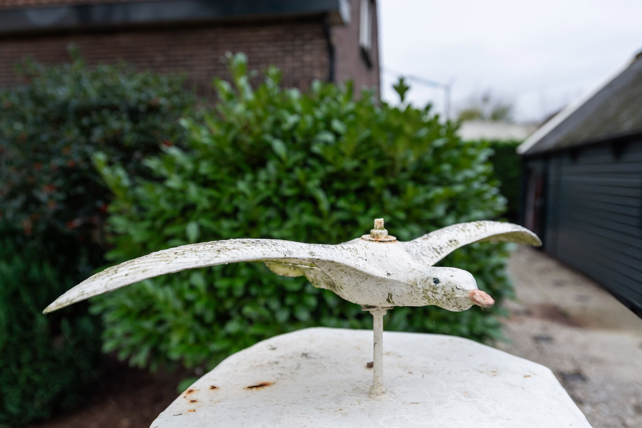 Foto 39 van Wollefoppenweg 3