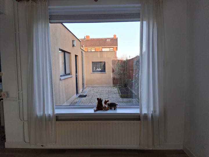 Foto 5 van Hollandiastraat 2