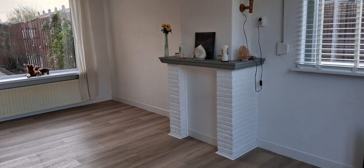 Foto 10 van Hollandiastraat 2