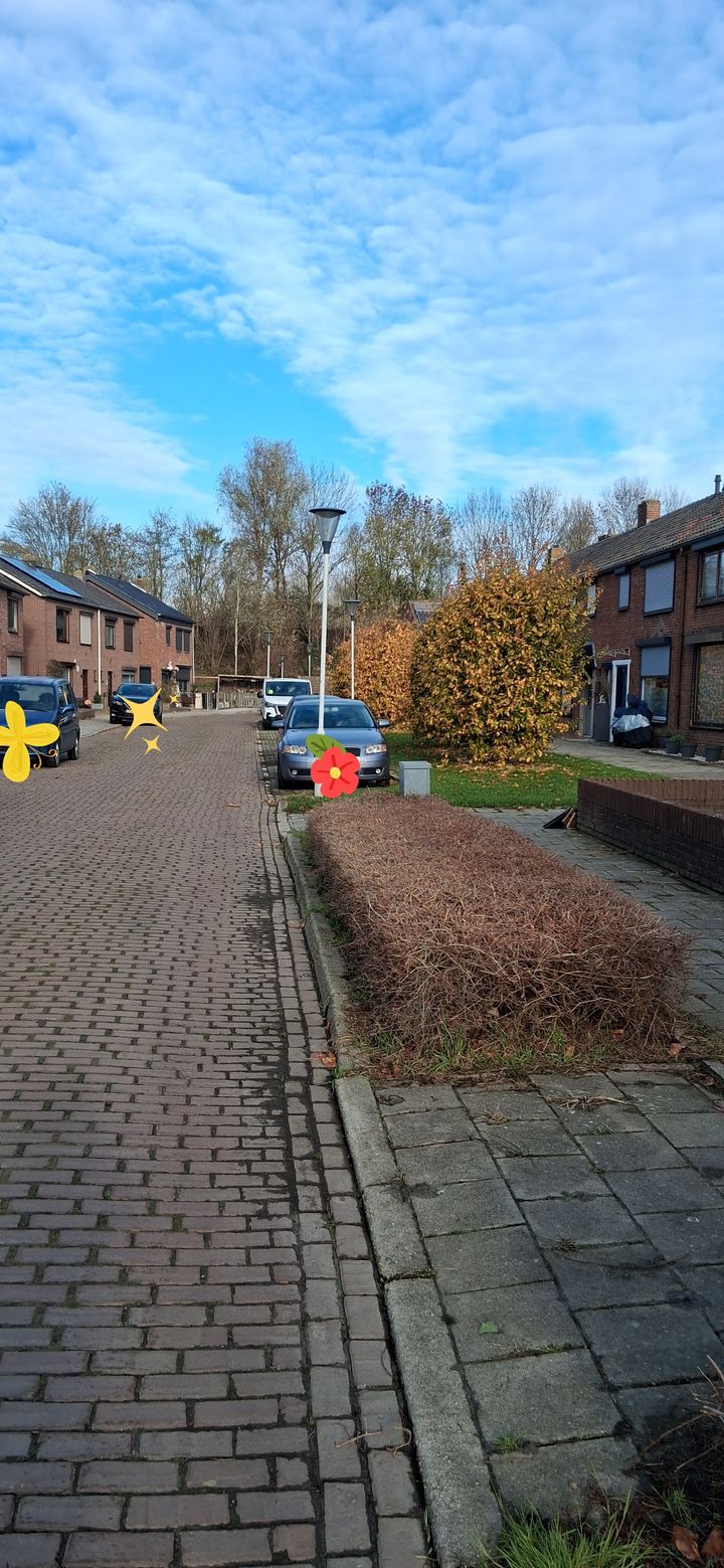 Foto 35 van Hollandiastraat 2