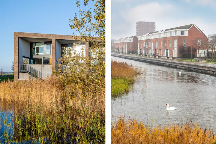 Photo 45 of Lange Weide 219