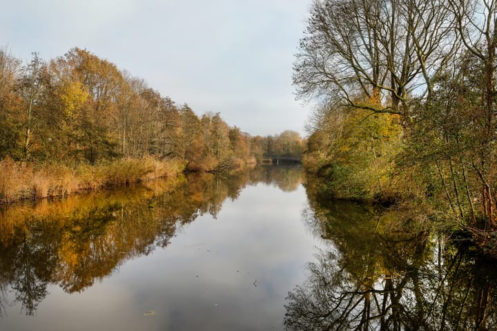 Foto 39 van Pettelaarseweg 121