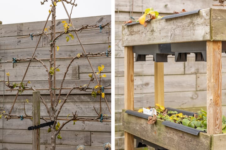 Foto 35 van Anke van der Vliesstraat 31