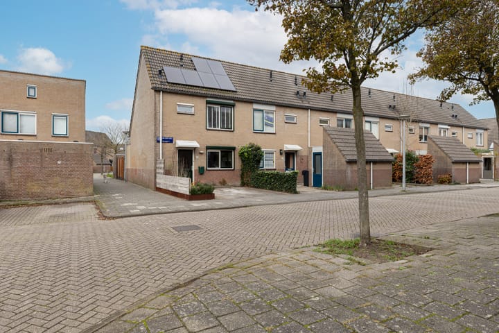 Foto 41 van Anke van der Vliesstraat 31