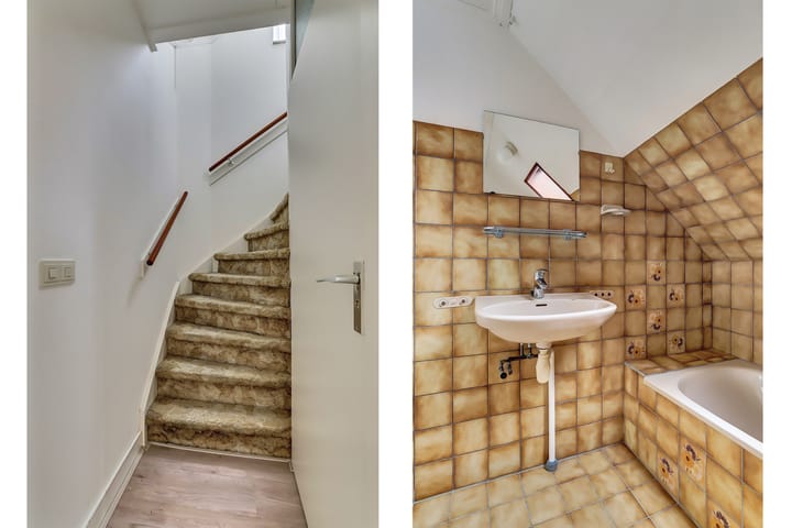 Photo 12 of Bûterikkers 16