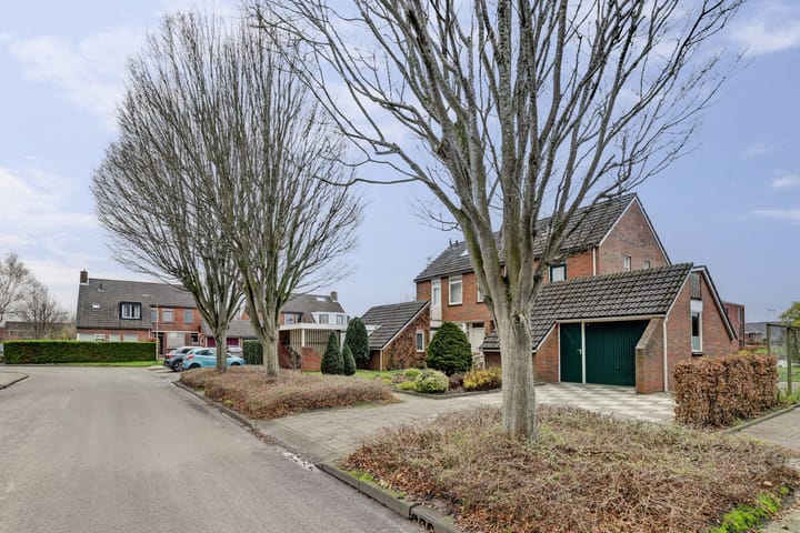 Photo 32 of Bûterikkers 16