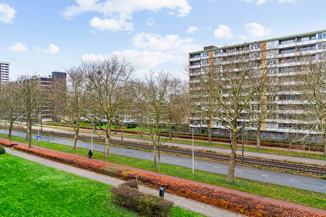 Photo 31 of Eisenhowerlaan 254