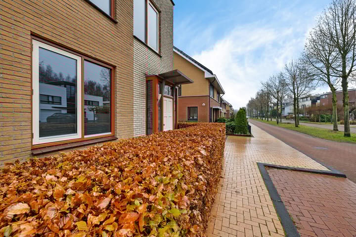 Foto 39 van Willem de Zwijgerlaan 59