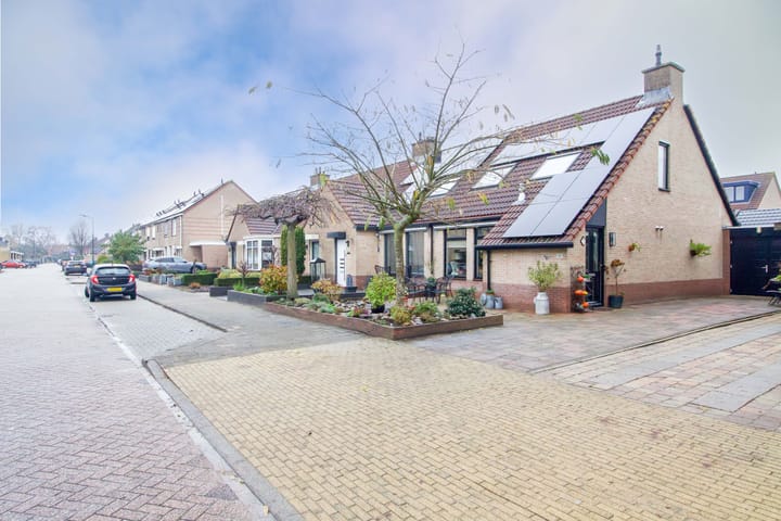 Photo 36 of Botter 101