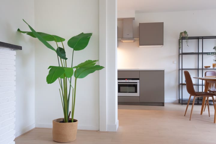 Photo 11 of Julianastraat 31