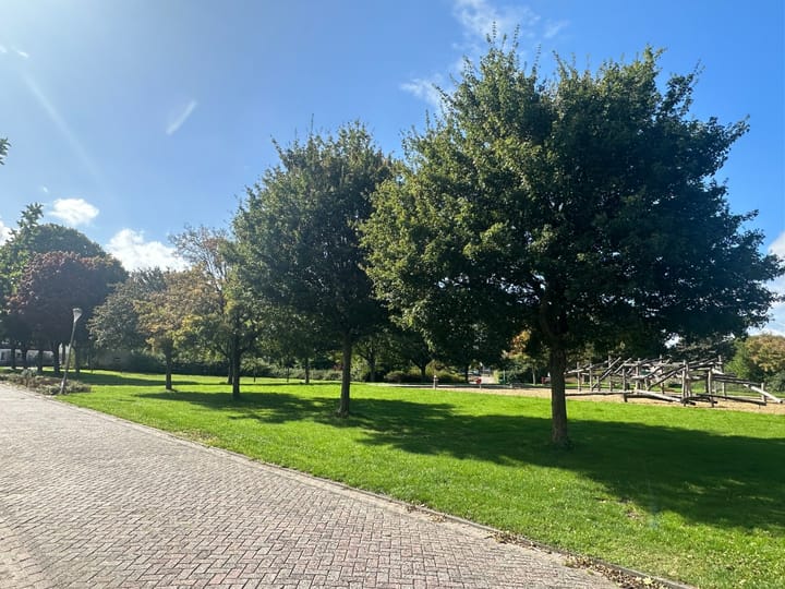 Foto 3 van Trimbaan 15