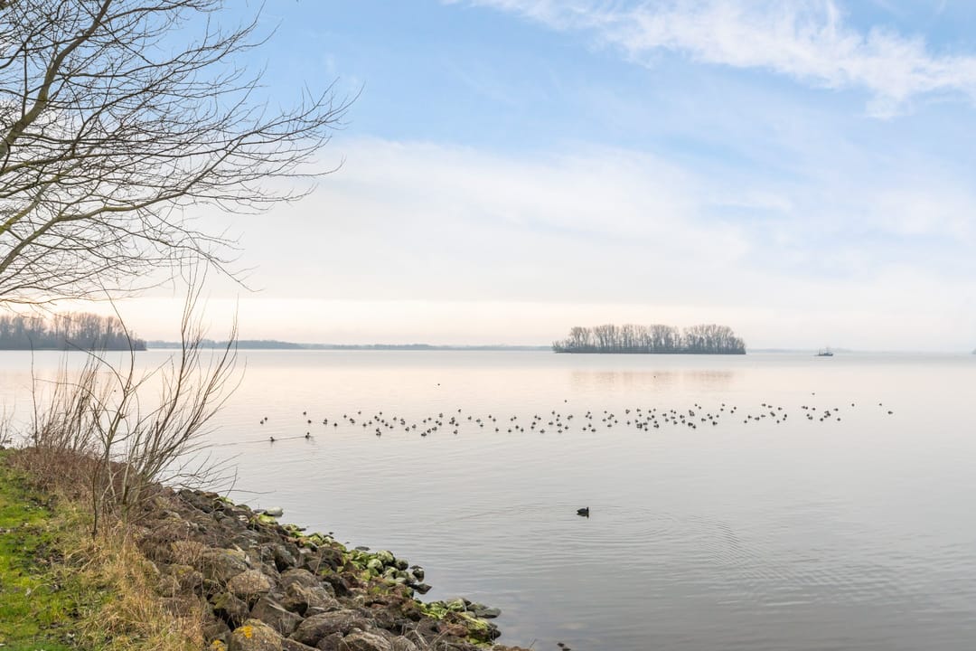 Foto 43 van Trimbaan 15