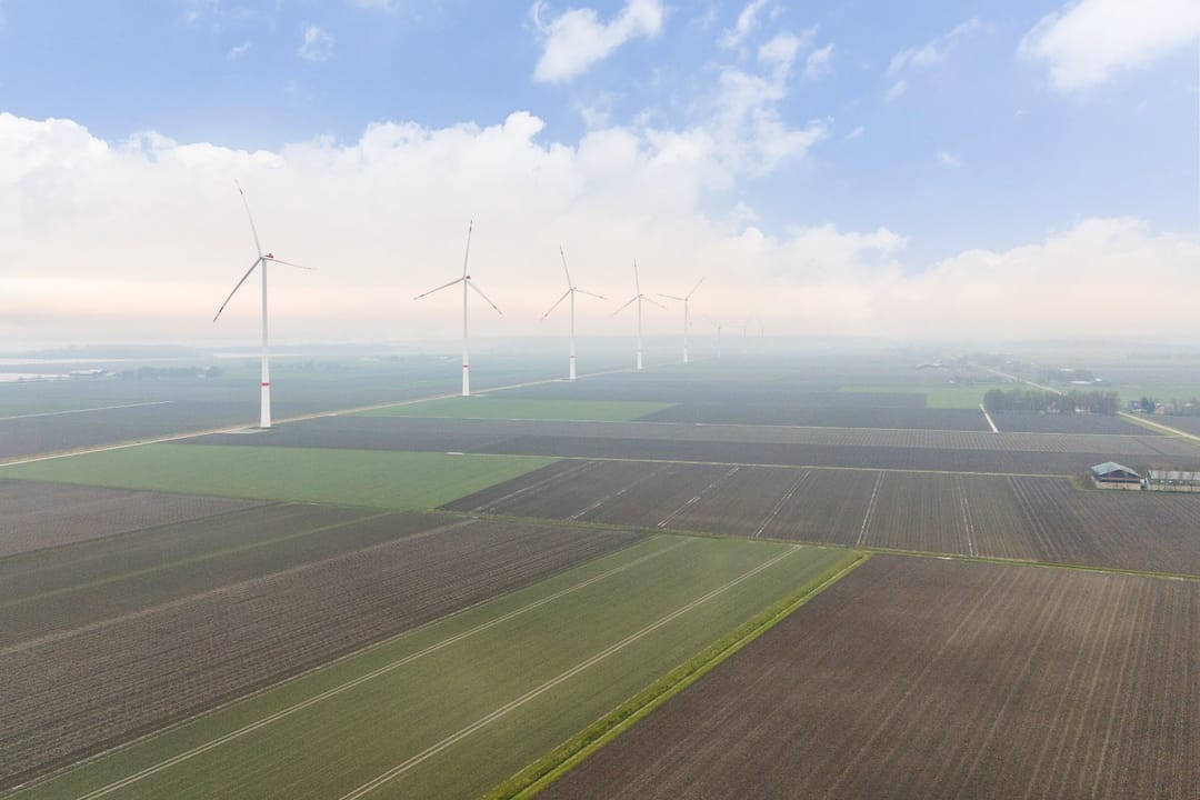 Foto 46 van Trimbaan 15