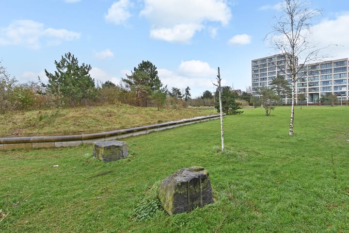 Foto 42 van Tjalie Robinsonduin 106