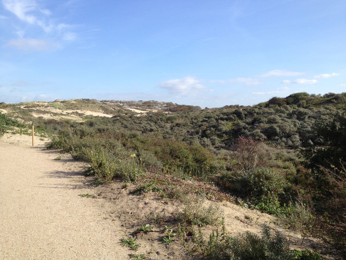 Foto 44 van Tjalie Robinsonduin 106