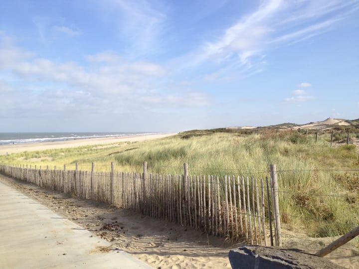 Foto 45 van Tjalie Robinsonduin 106