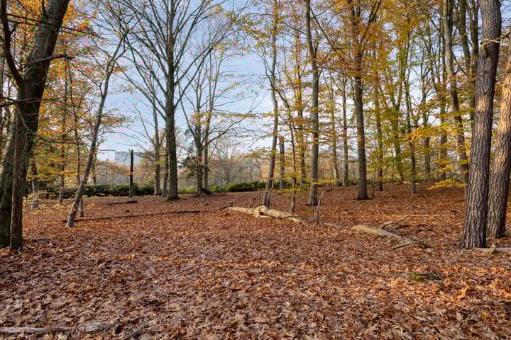 Photo 80 of Javalaan 109