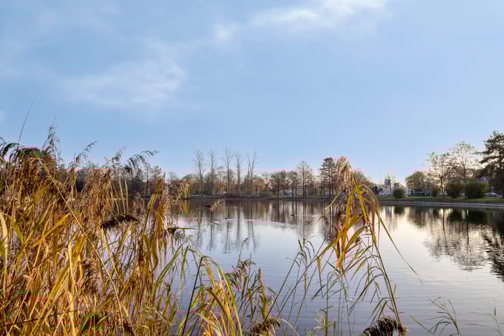 Photo 81 of Javalaan 109