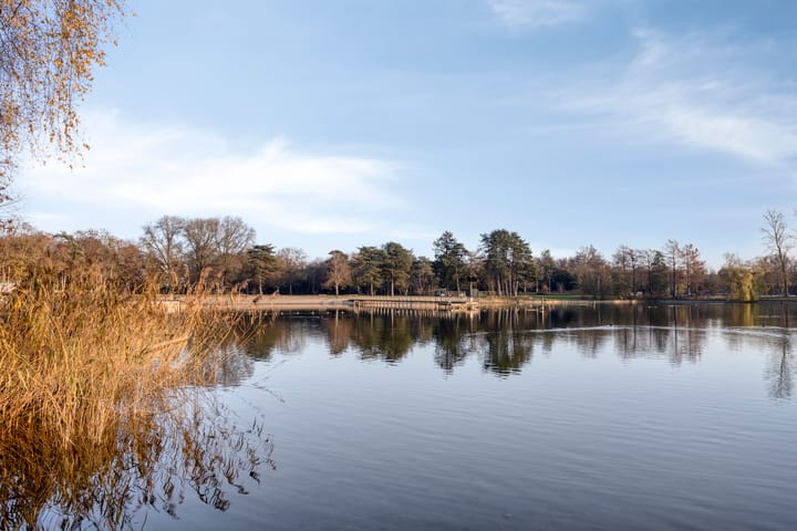 Photo 82 of Javalaan 109