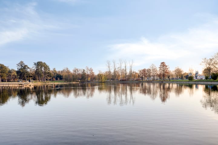 Photo 83 of Javalaan 109