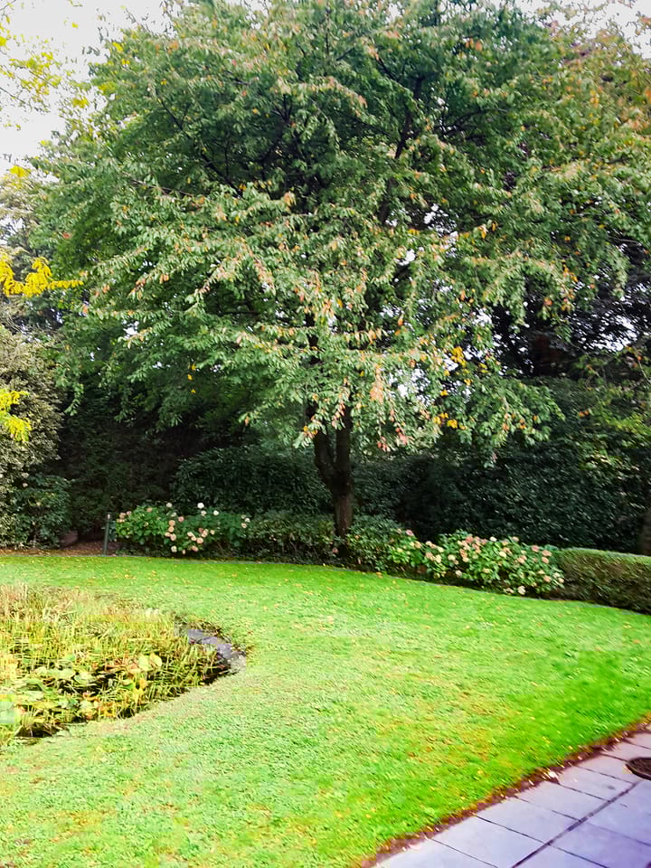 Foto 44 van Wielingen 38